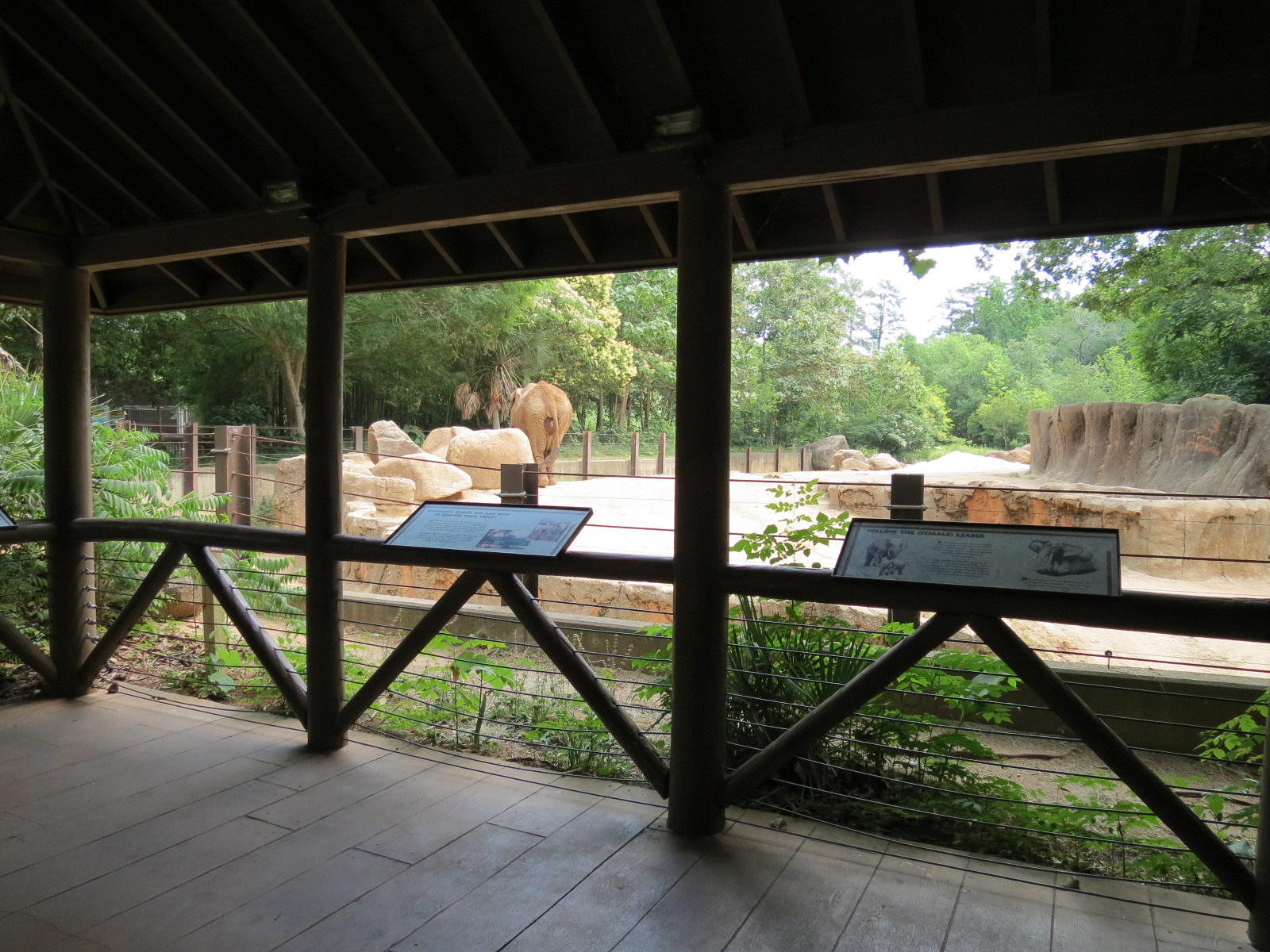 Ndoki Forest - African Elephant Exhibit (now empty after these photos were taken)