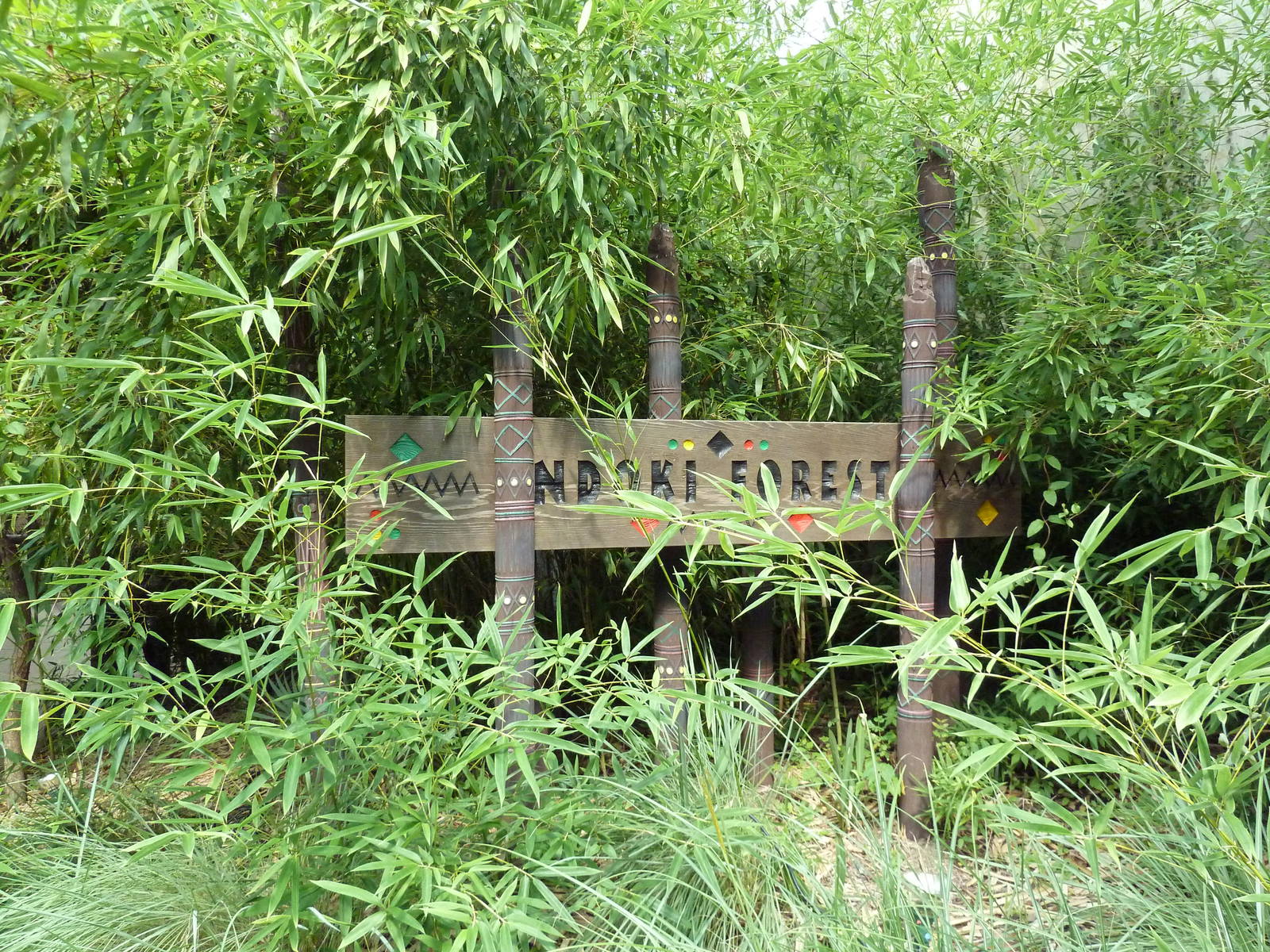 Ndoki Forest - Entrance Sign
