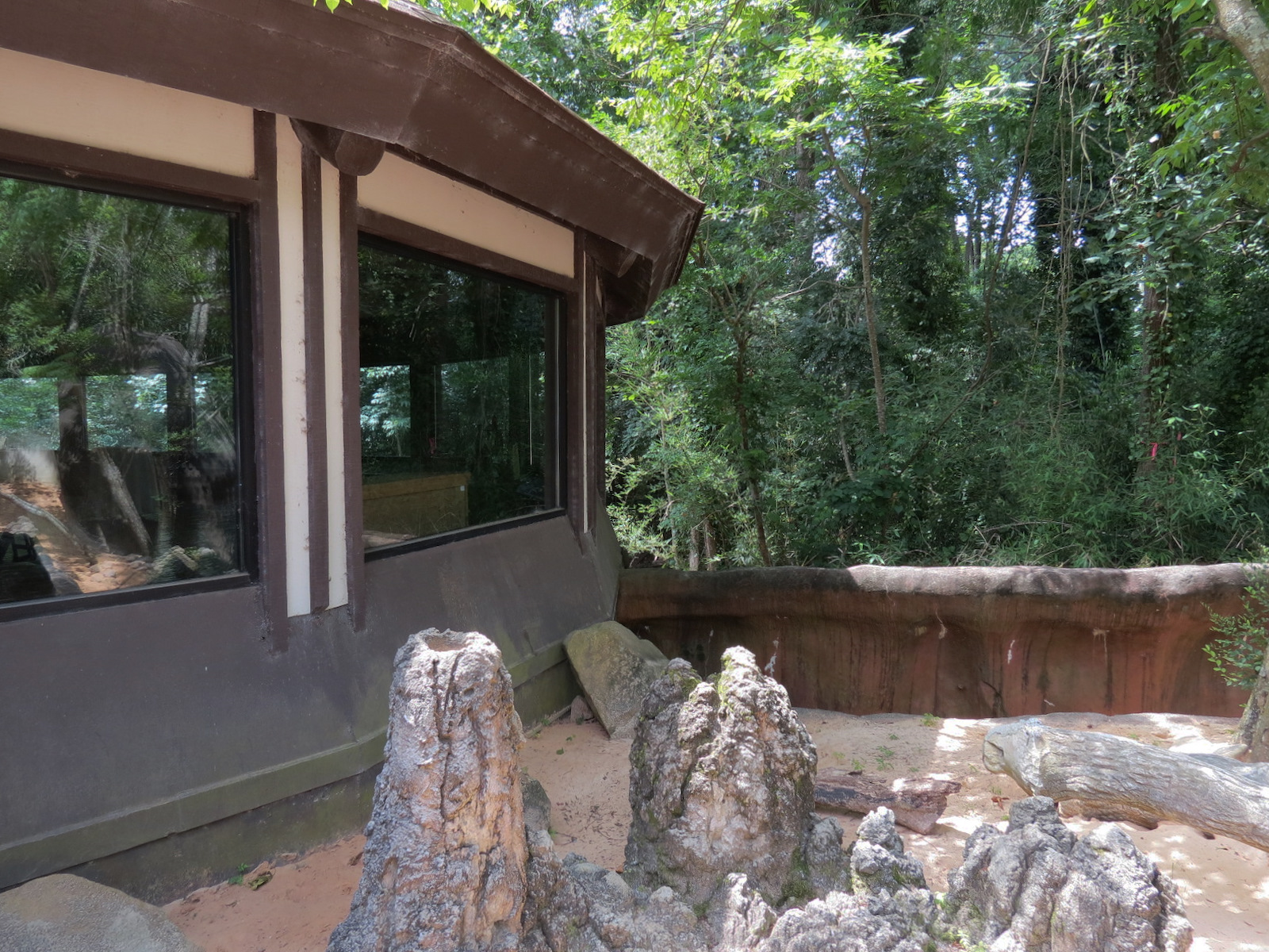 Ndoki Forest - Meerkat Exhibit