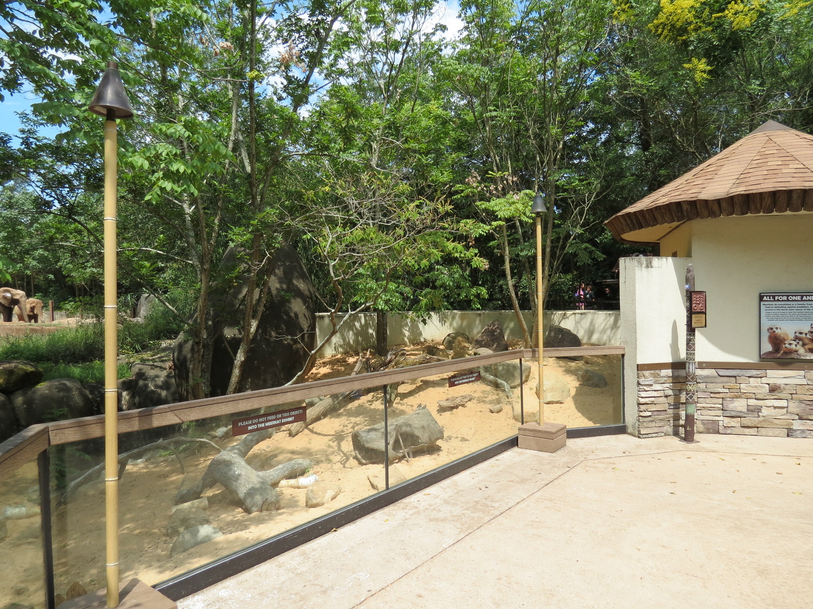 Ndoki Forest - Meerkat Exhibit