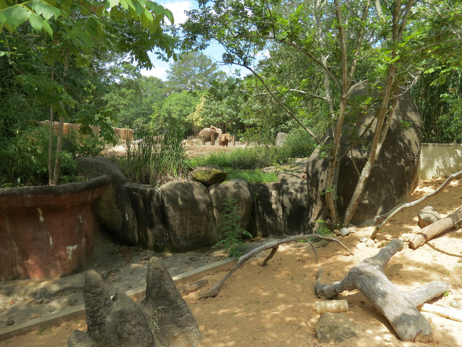 Ndoki Forest - Meerkat Exhibit