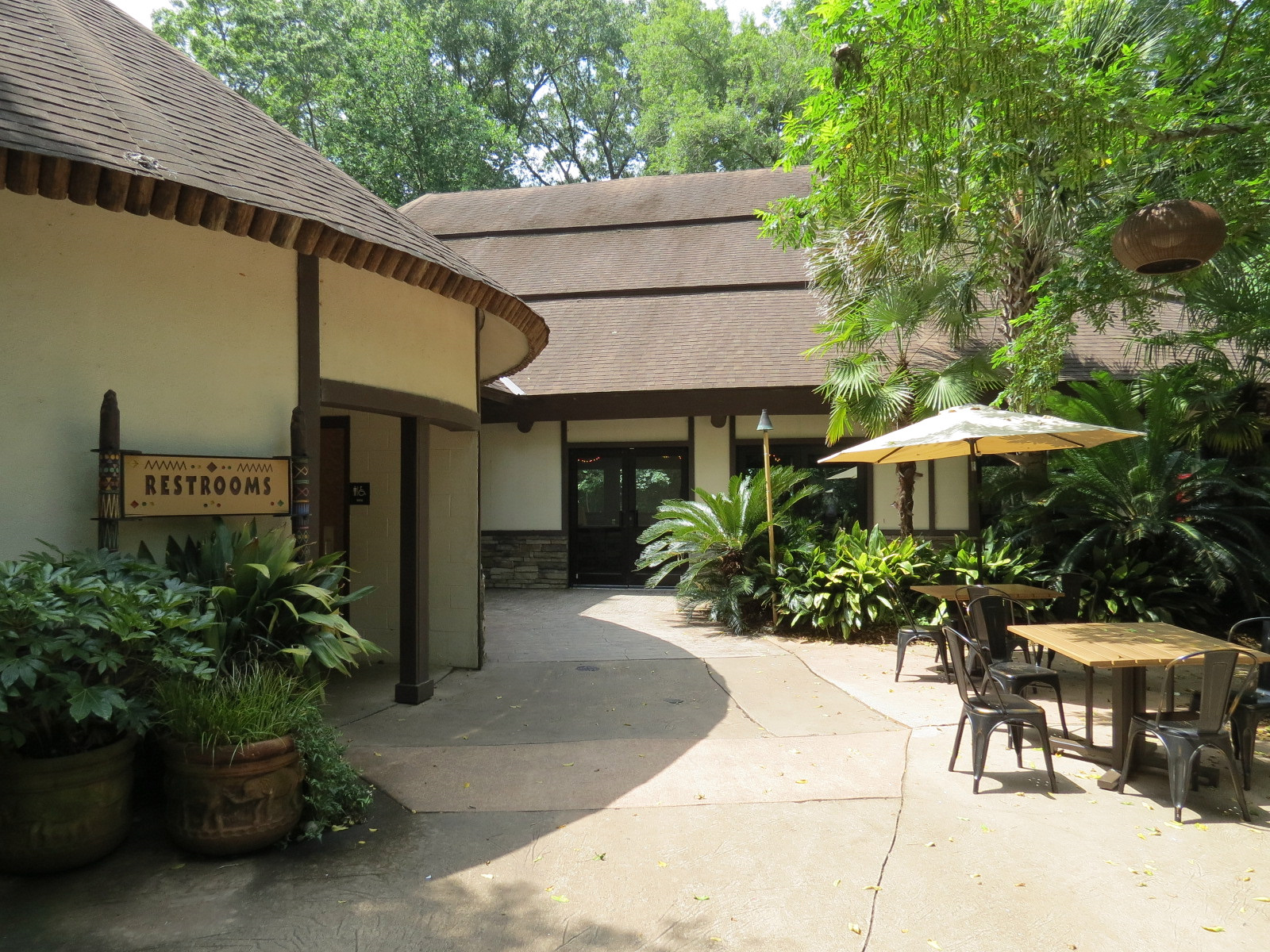 Ndoki Forest - Watering Hole