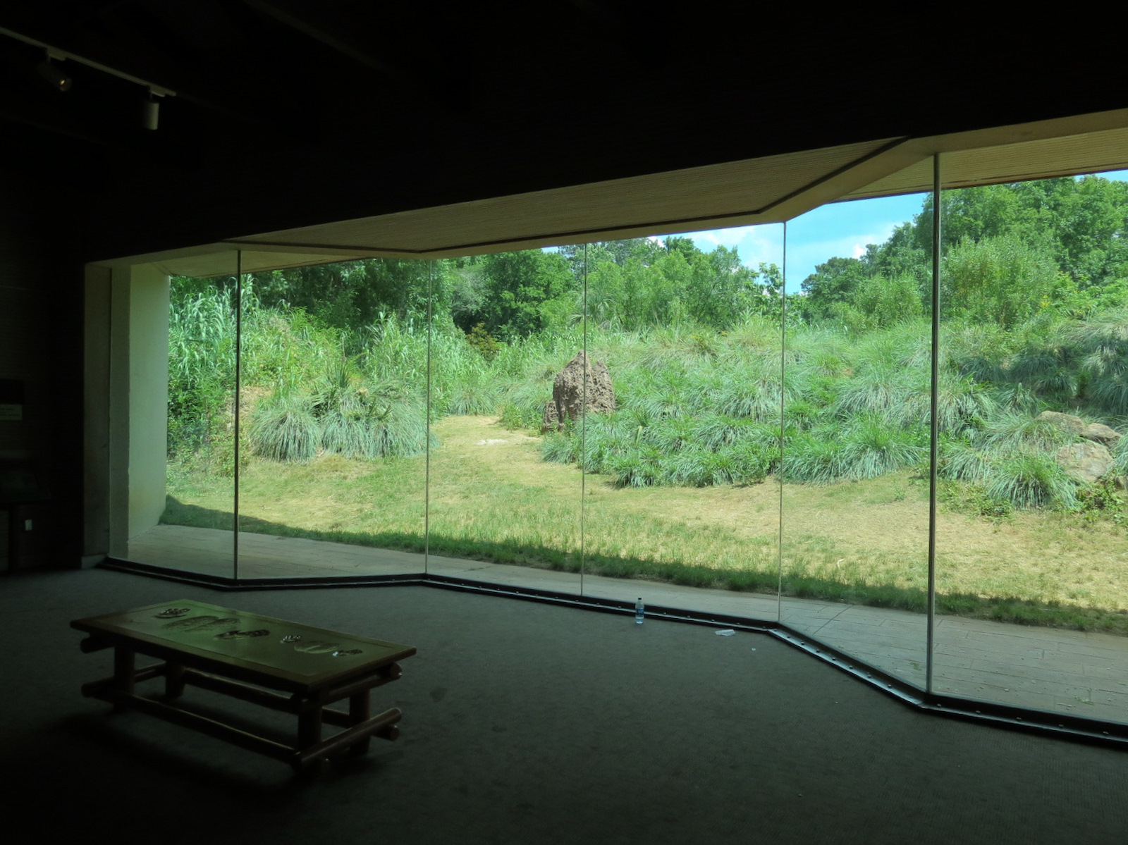 Ndoki Forest - Western Lowland Gorilla Exhibit - Gorilla Base Camp Viewing Building