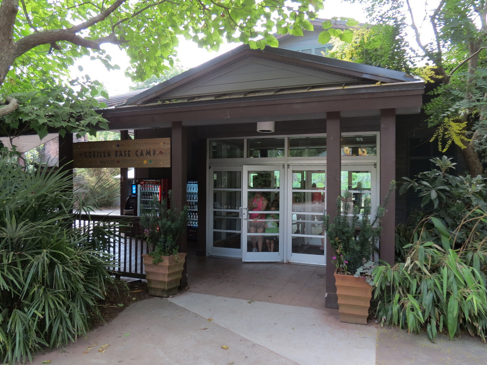 Ndoki Forest - Western Lowland Gorilla Exhibit - Gorilla Base Camp Viewing Building
