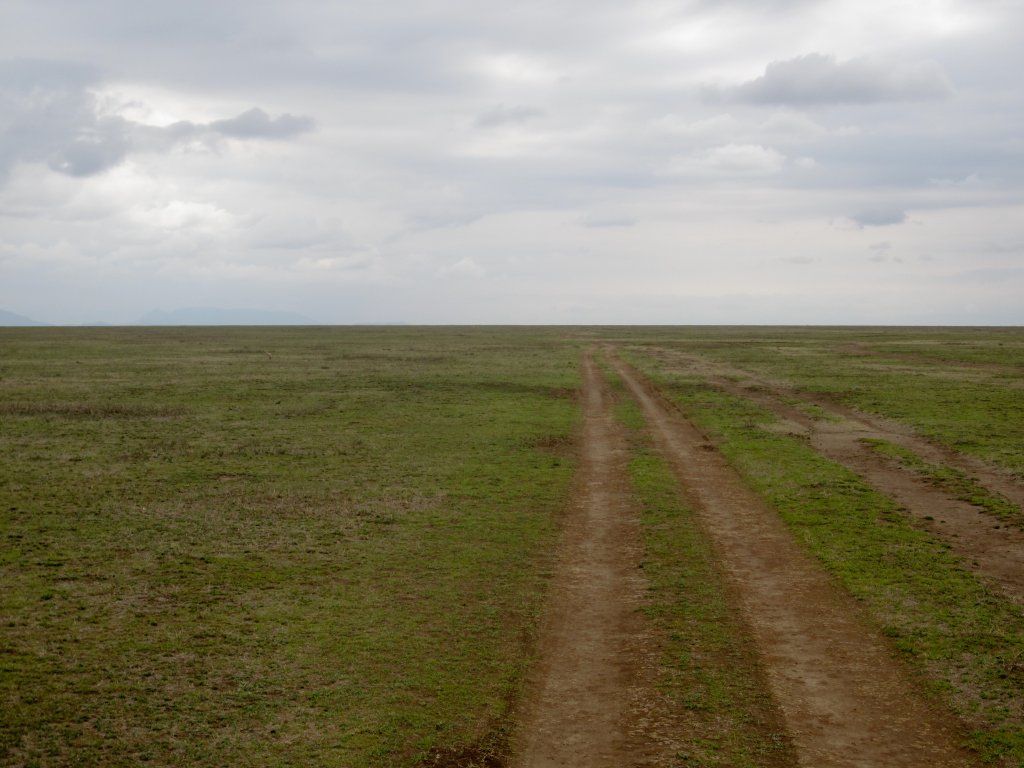 Ndutu Plains
