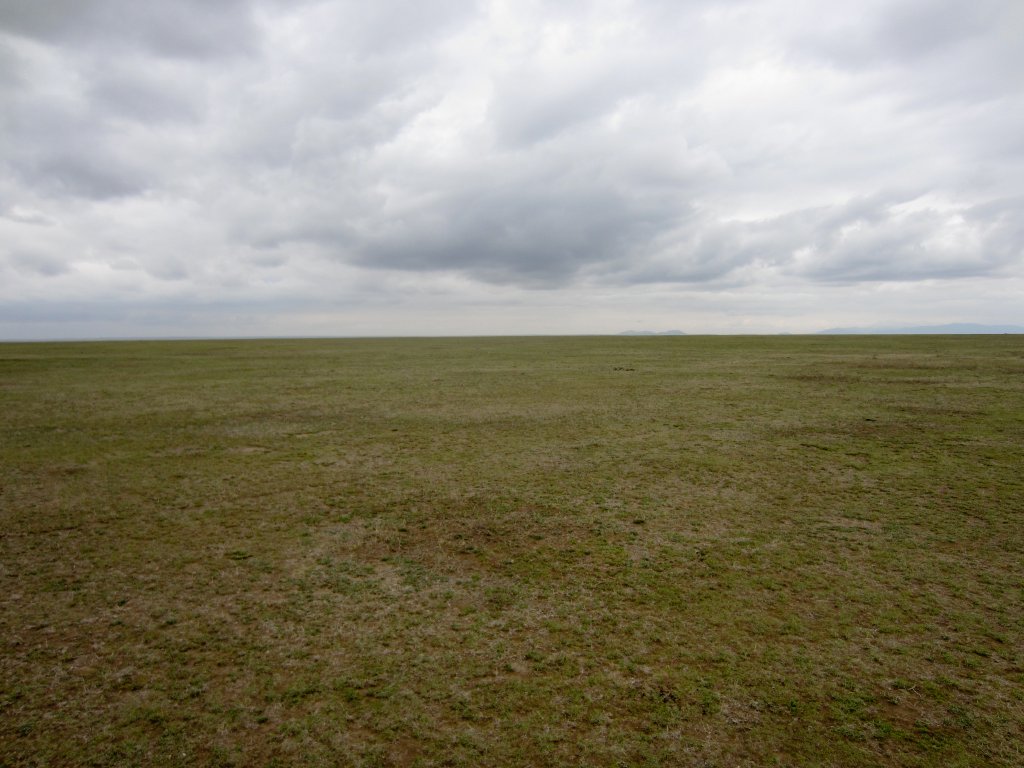 Ndutu Plains