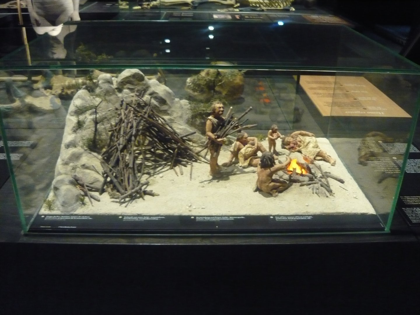 Neanderthal diorama