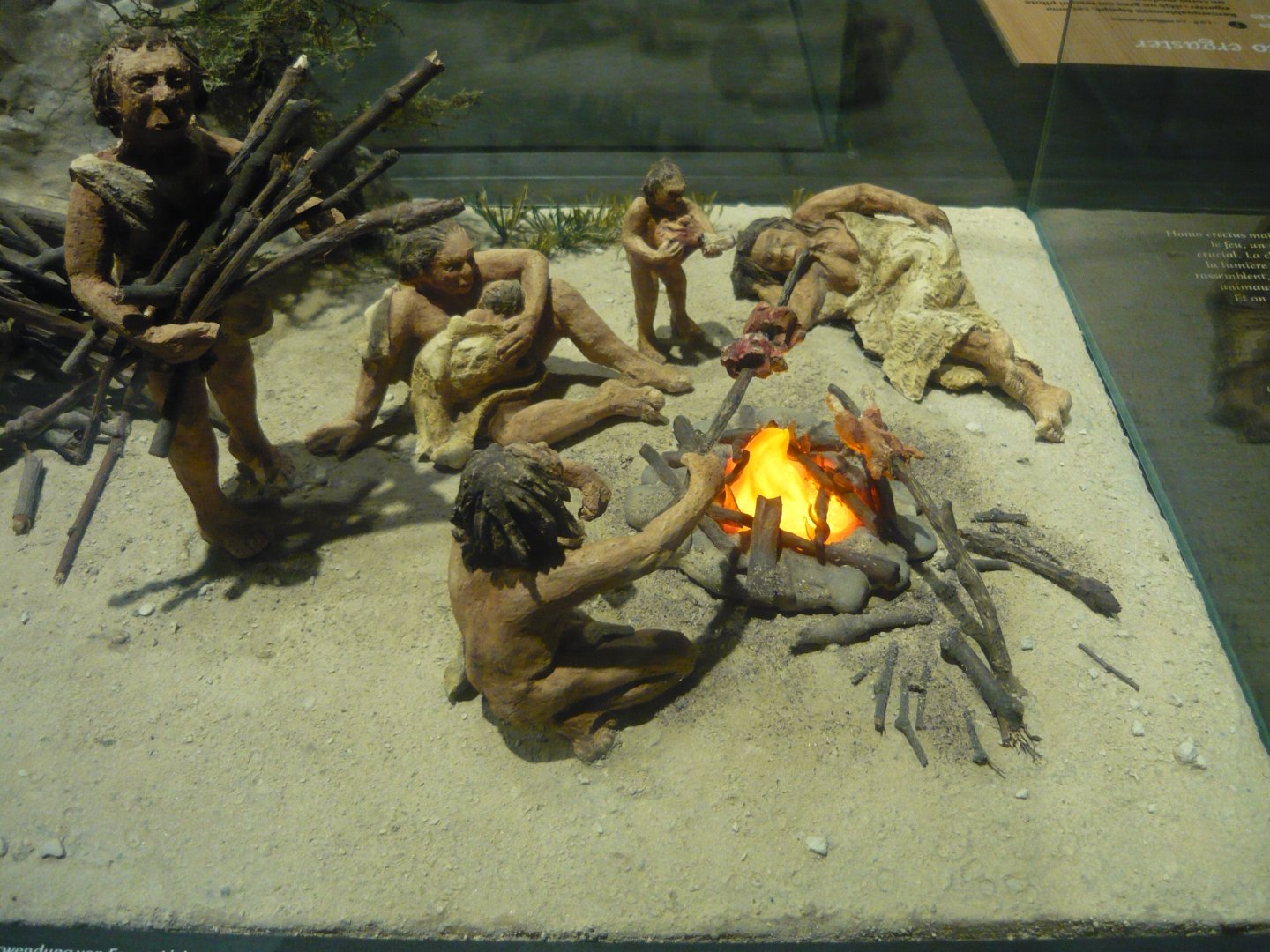 Neanderthal diorama