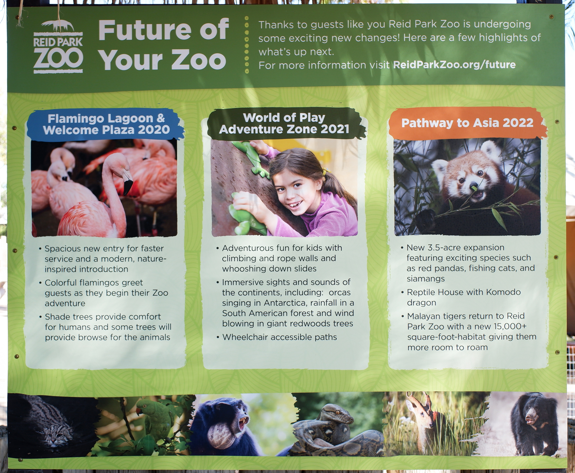 near future developments