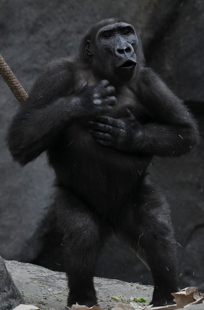 Nearly 7 year old Zachary