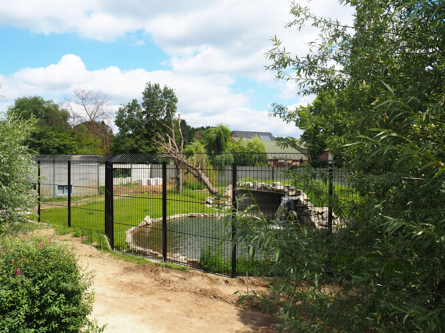 Nearly finished new exhibit for non-subspecies specific tigers, 2020-06-20