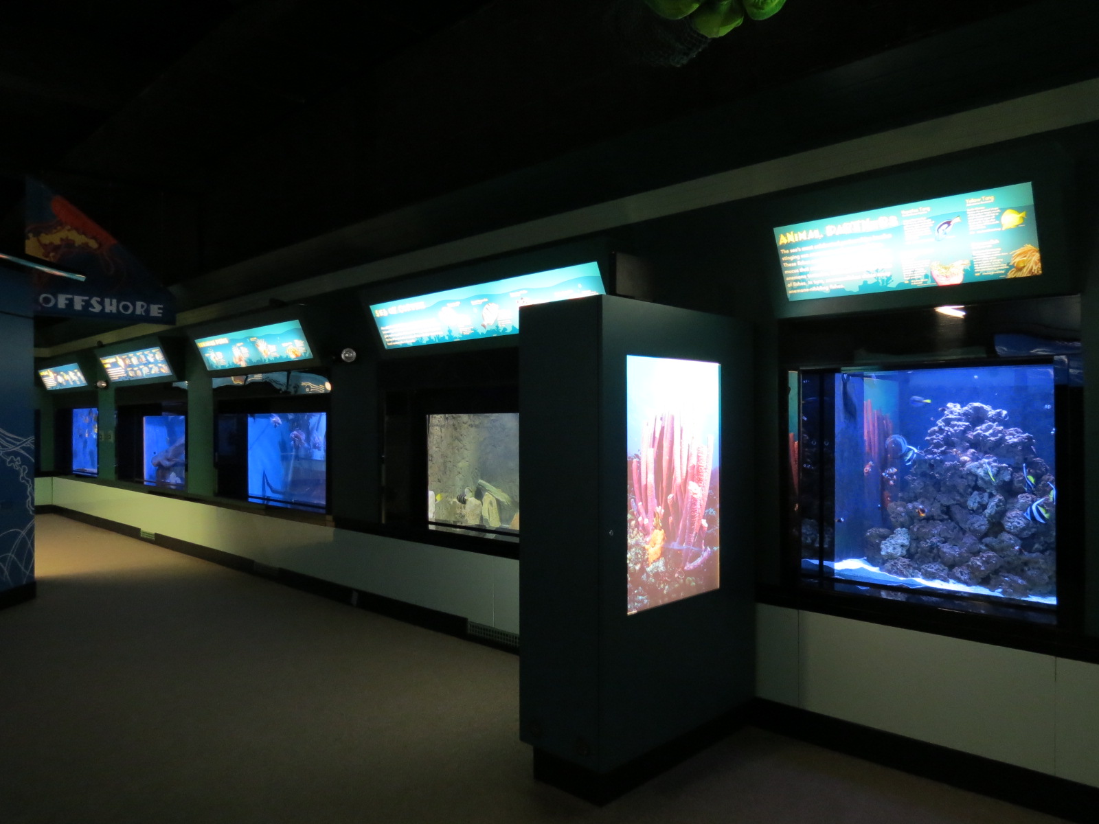 Nearshore and Offshore Zones