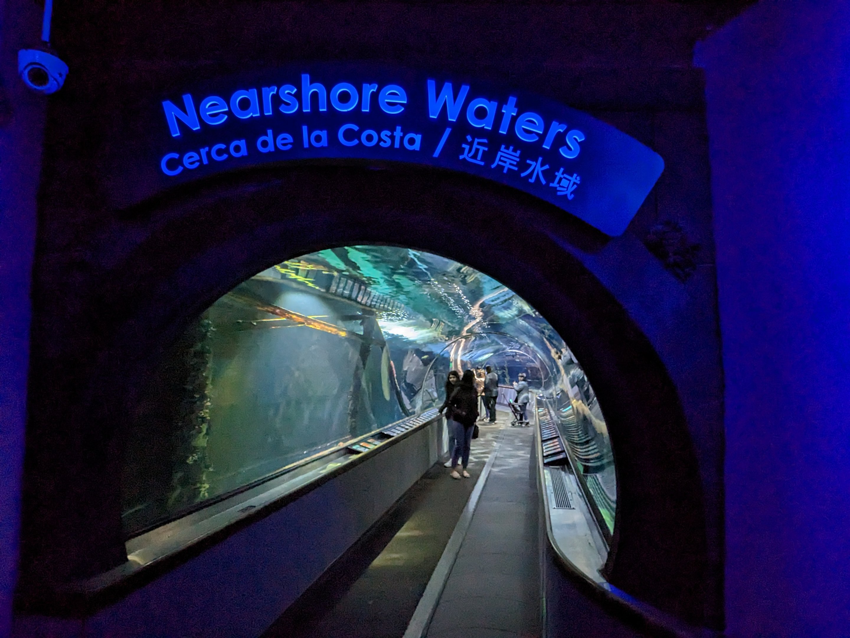 Nearshore Waters - tunnel entrance