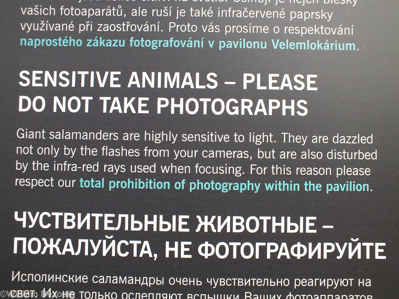 Necessary or Over the top?