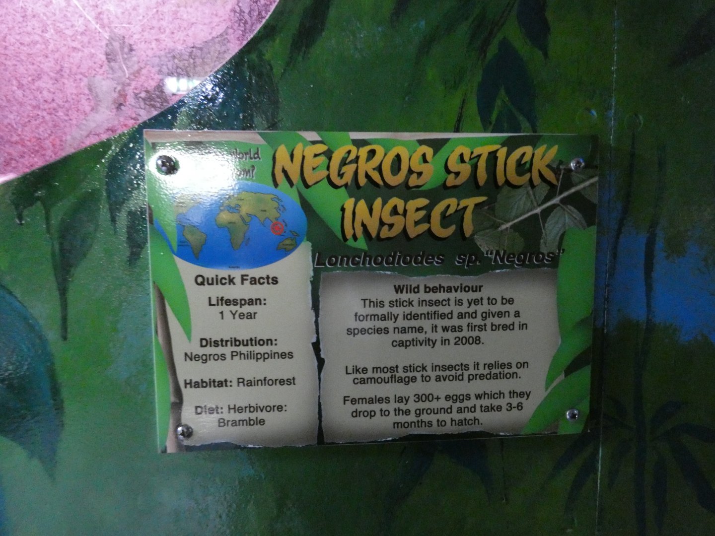 Negros Stick Insect signage