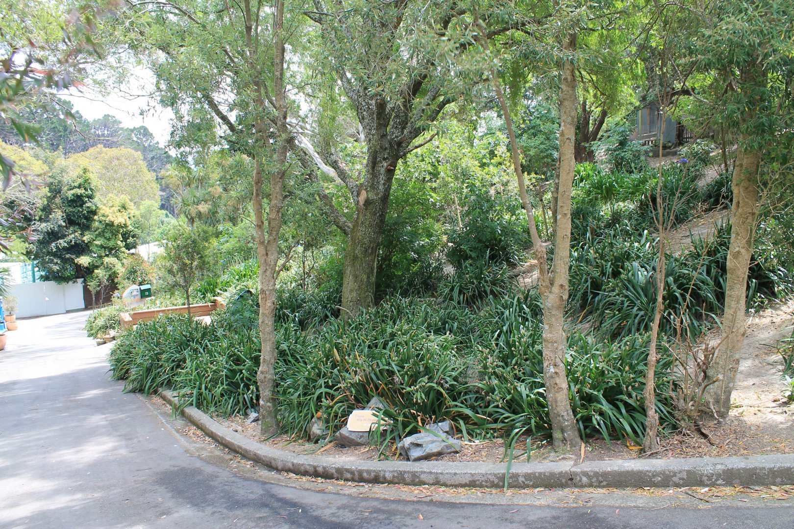 Neighbours, Australian walk-through enclosure