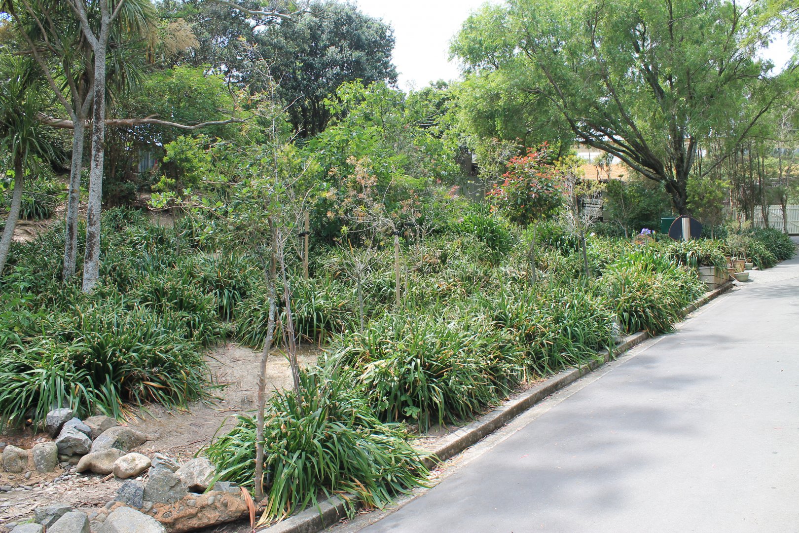 Neighbours, Australian walk-through enclosure