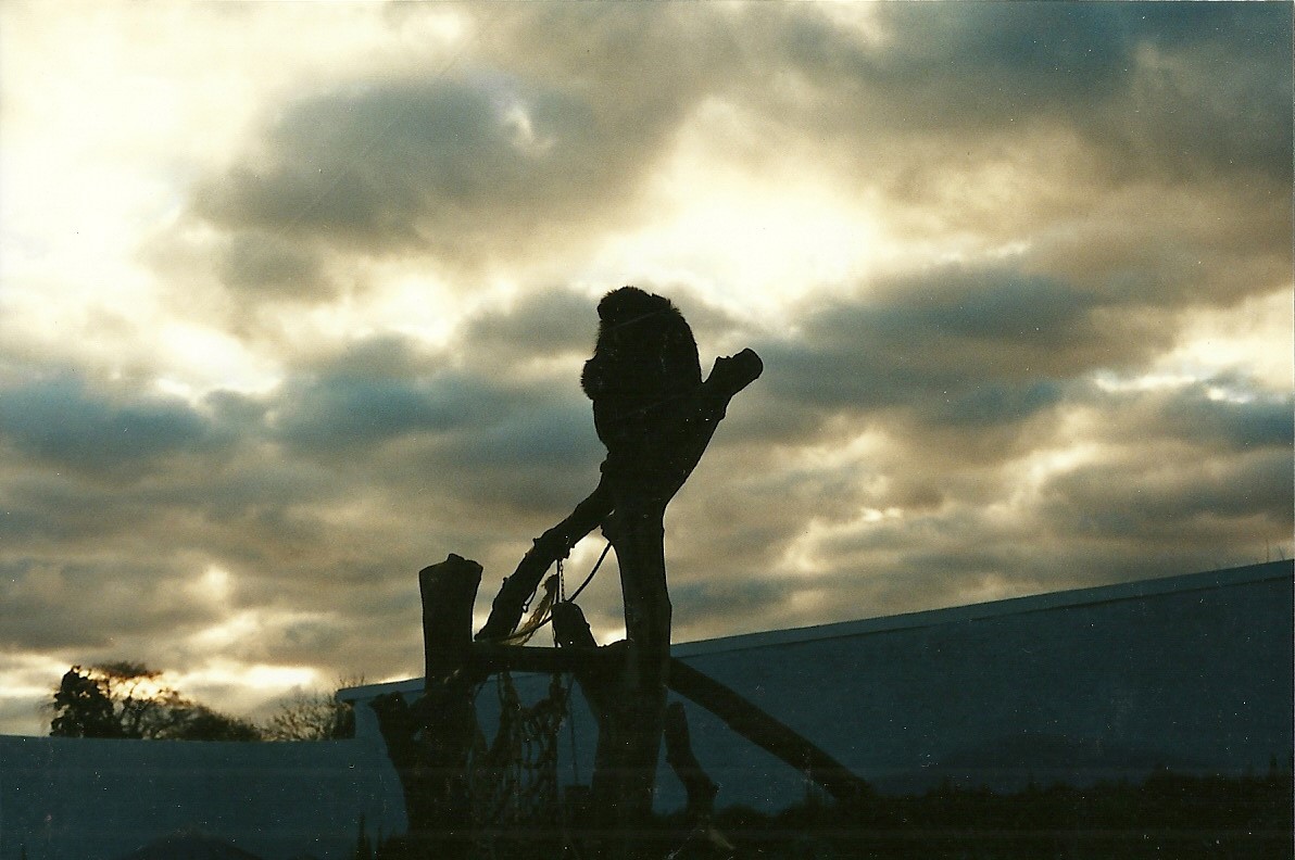 Nelson silhouette 6th November 1999