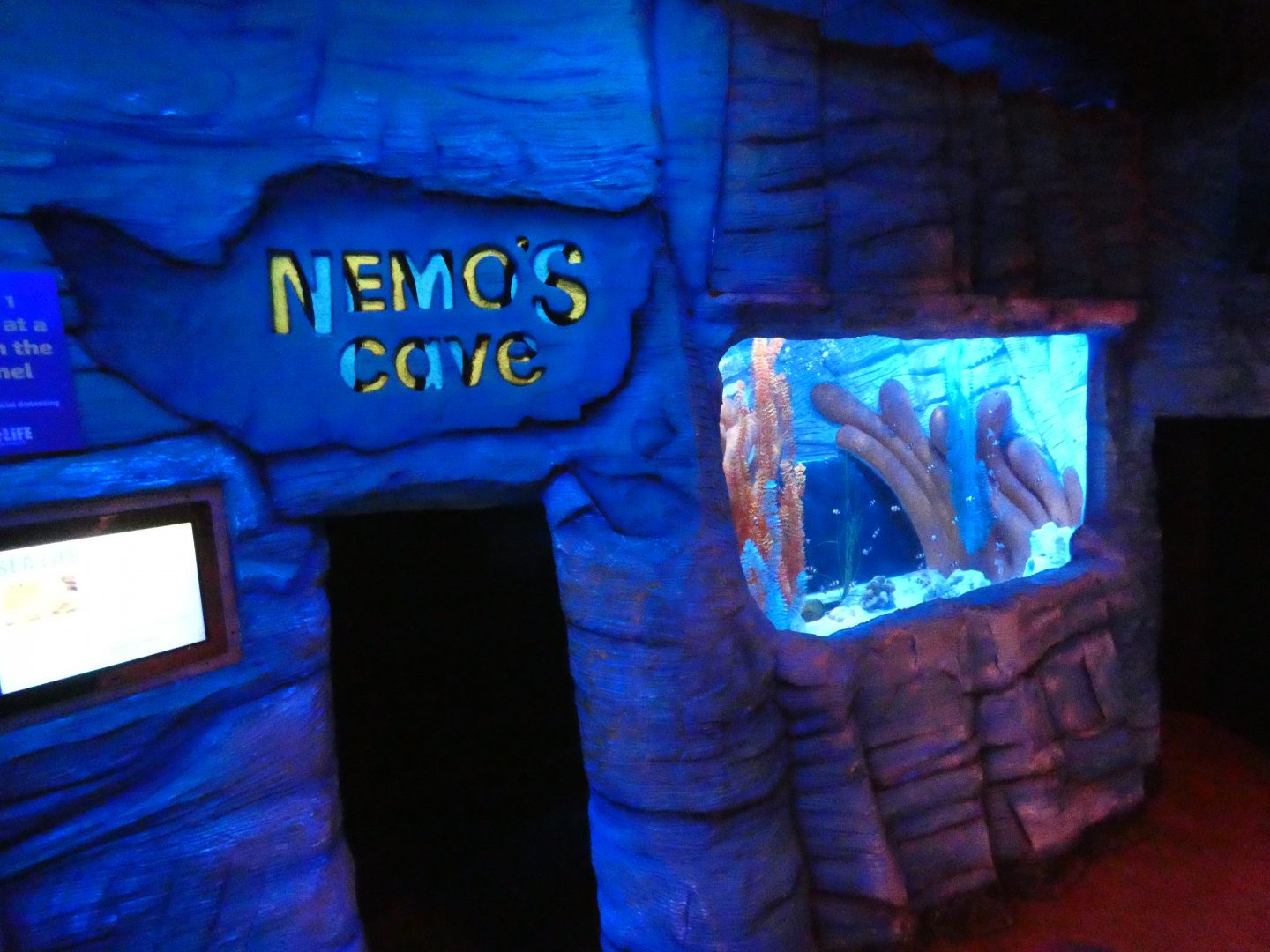 Nemo's cave