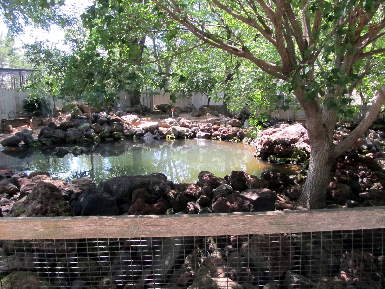 Nene/Reeve's Muntjac Exhibit