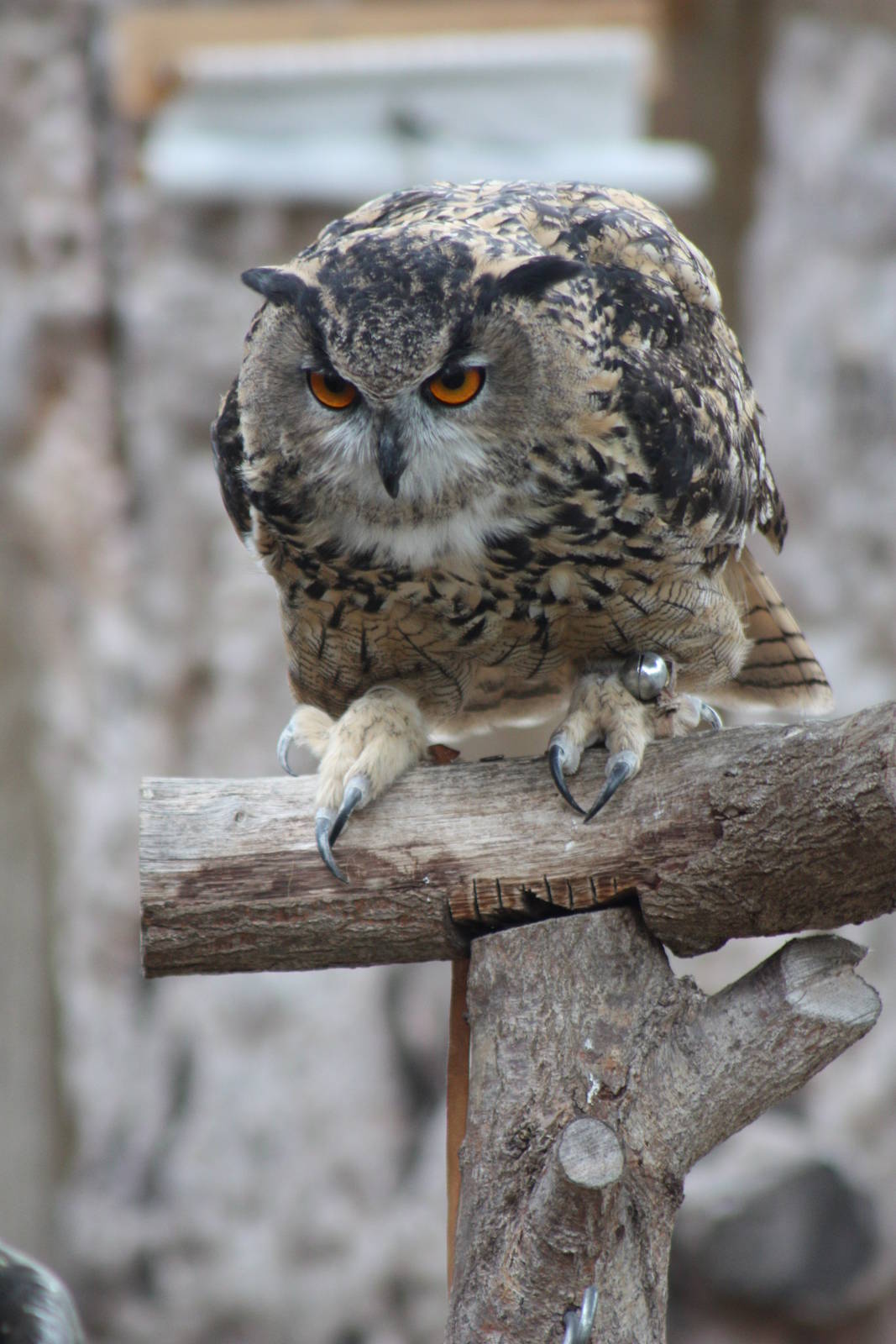 Neo, 30th September 2014