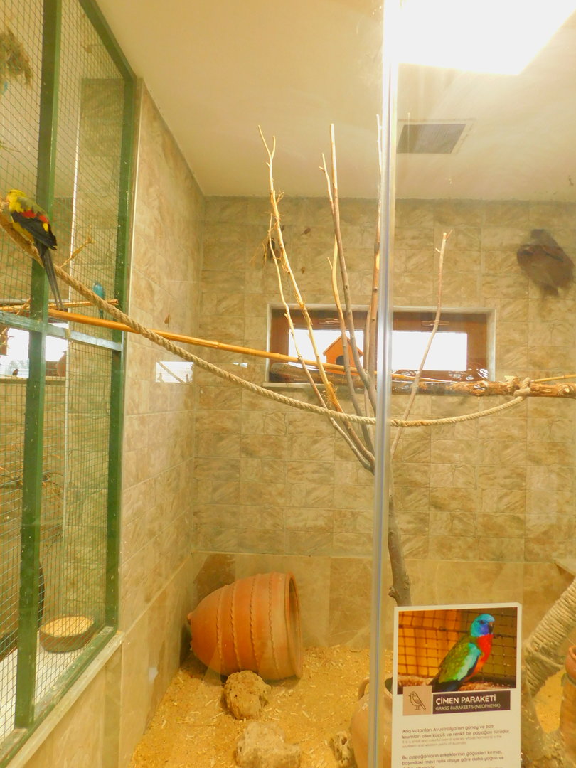 Neophema Enclosure at the Karatay Zoo
