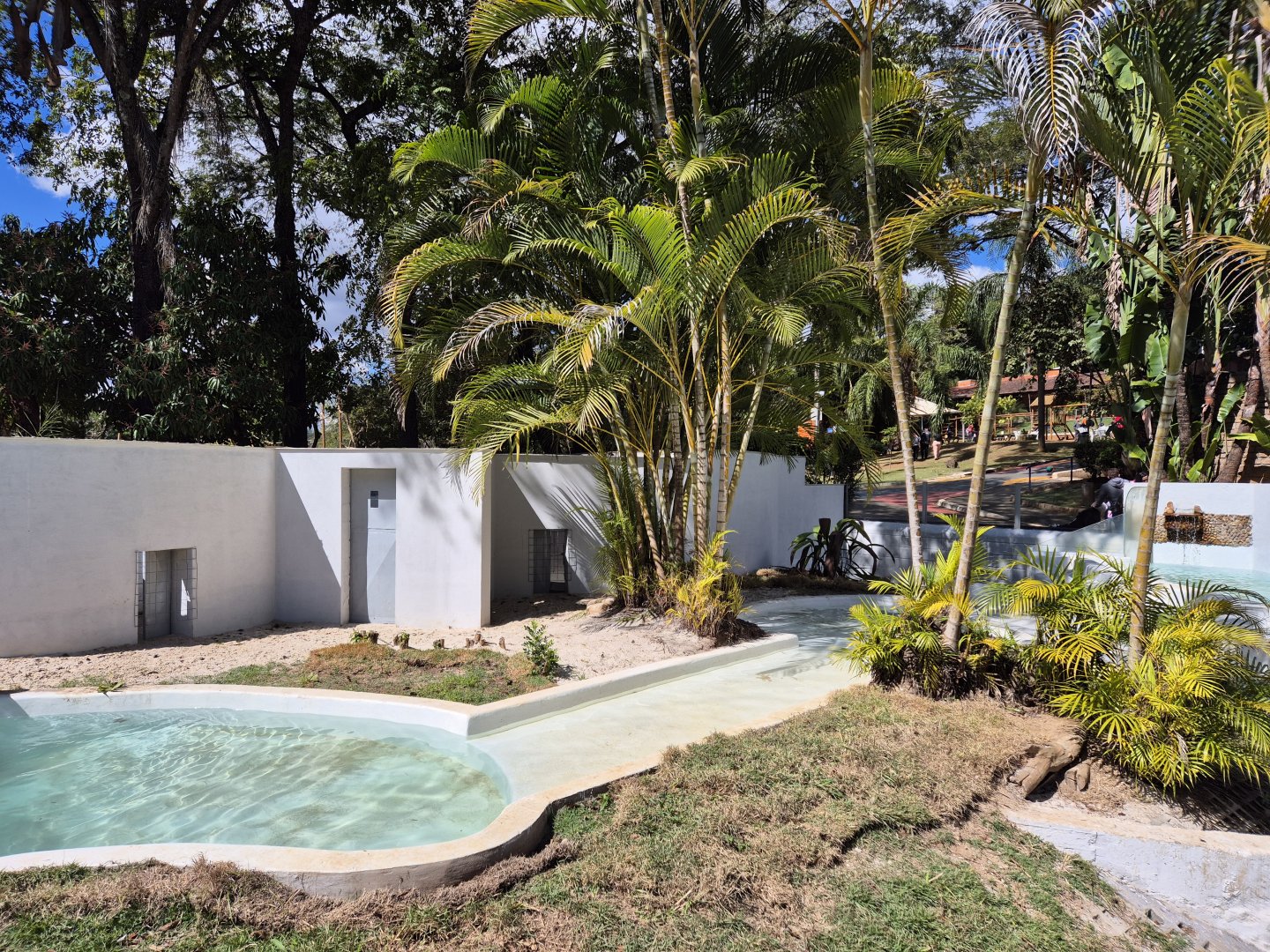 Neotropical Otter exhibit