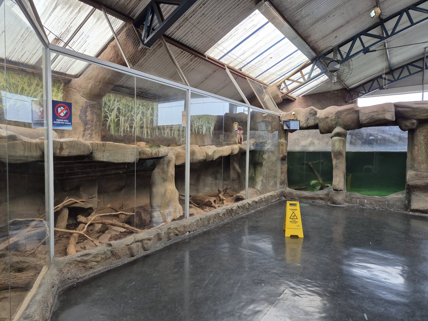 Neotropical Otters part of the exhibit