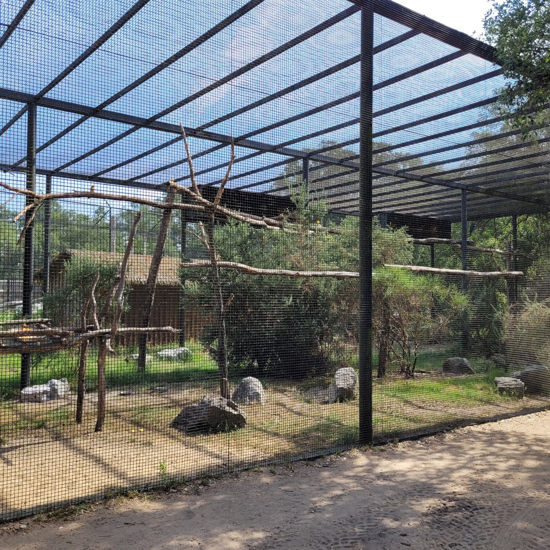 Neotropical psittaciformes exhibit -Zoo de Labenne (2023)