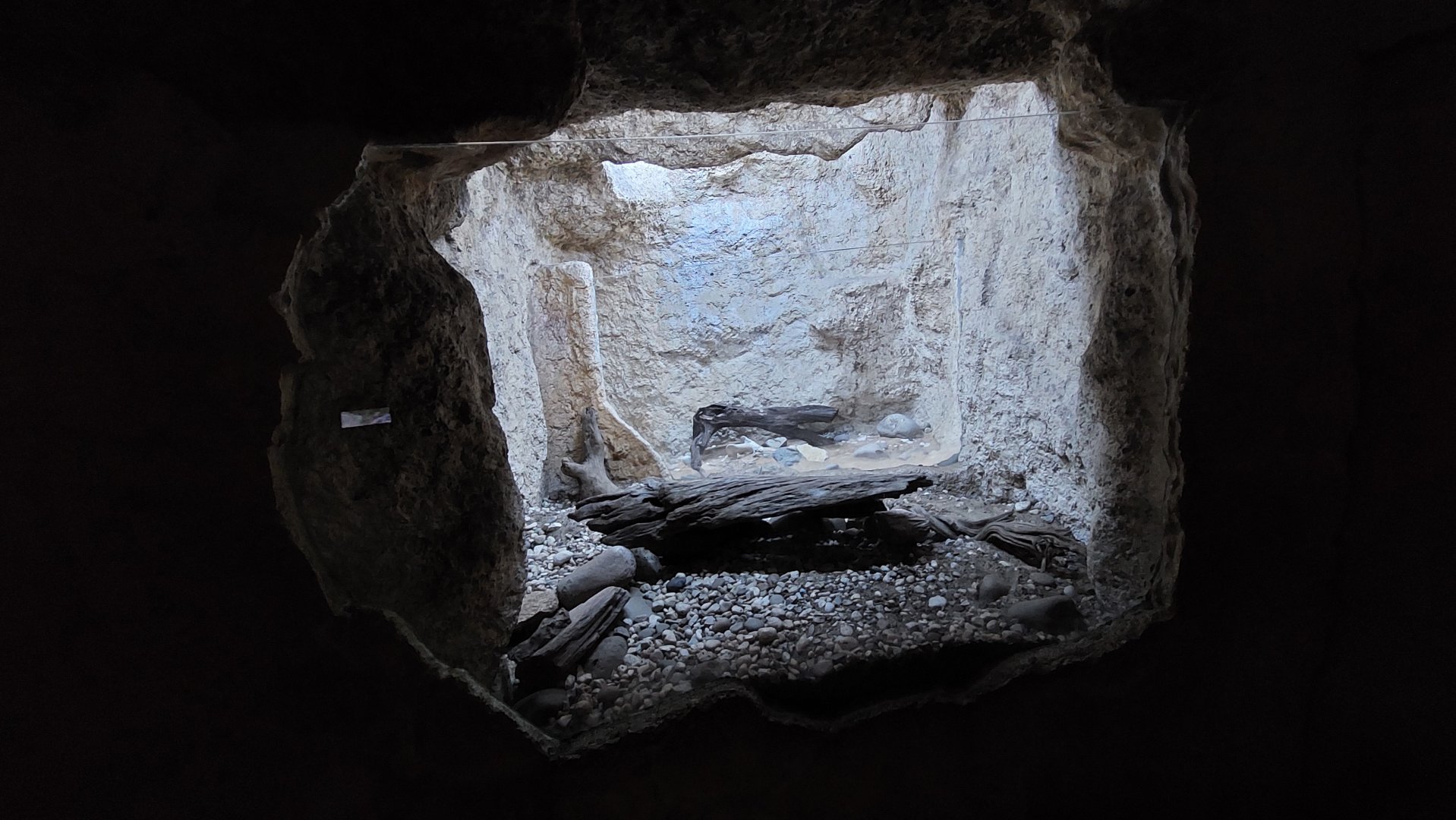 Neotropical rattlesnake and Mexican beaded lizard enclosure