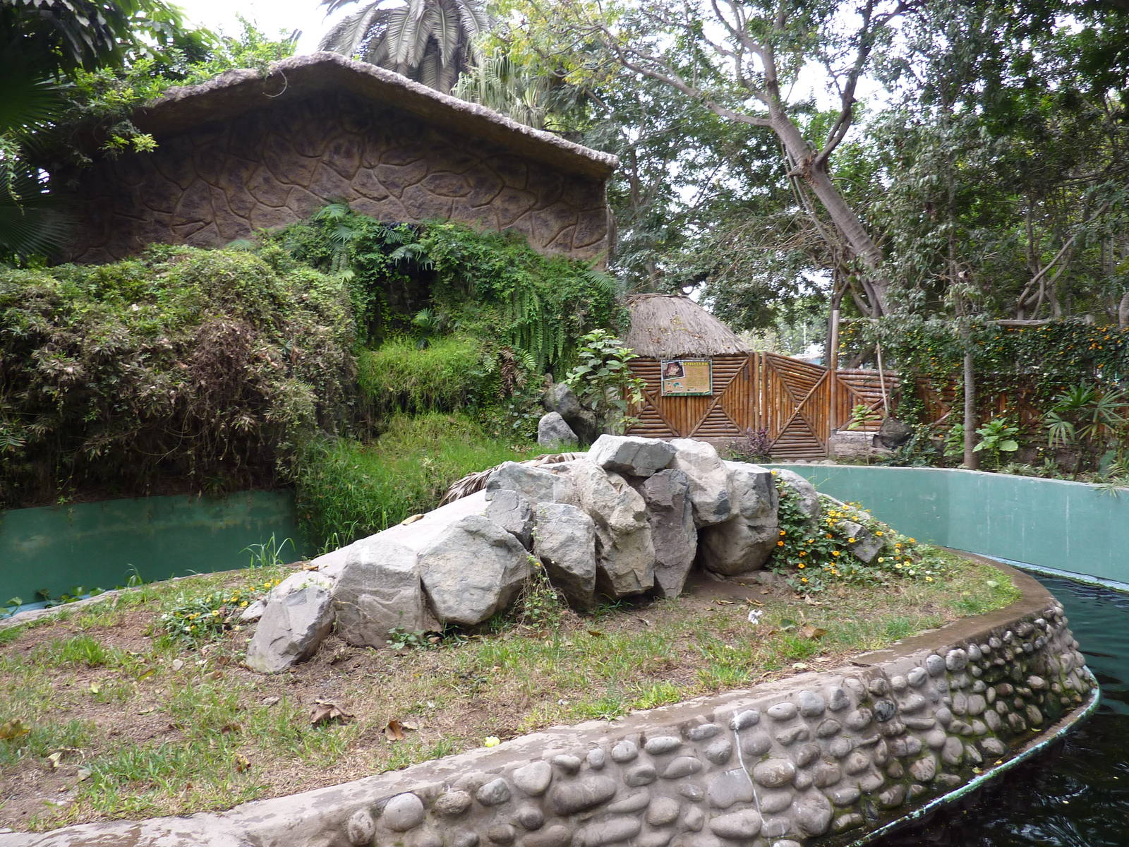 Neotropical River Otter enclosure