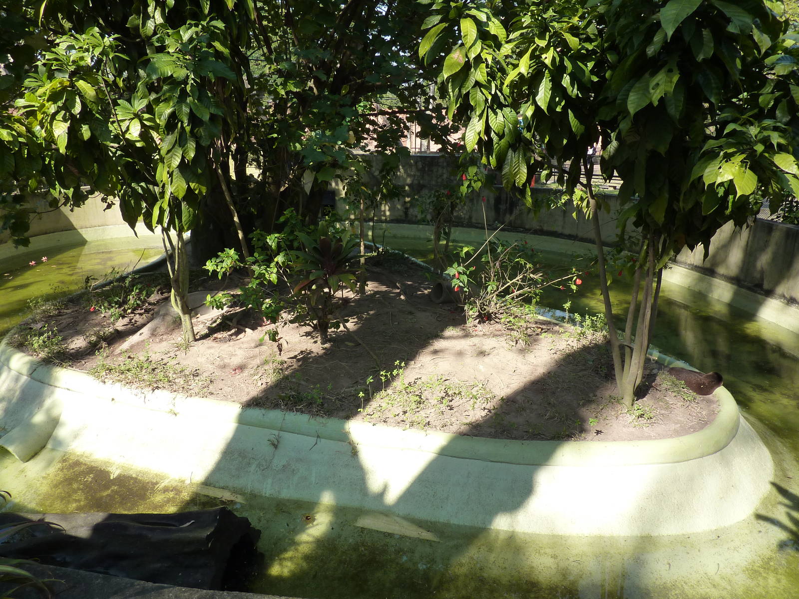 Neotropical river otter enclosure