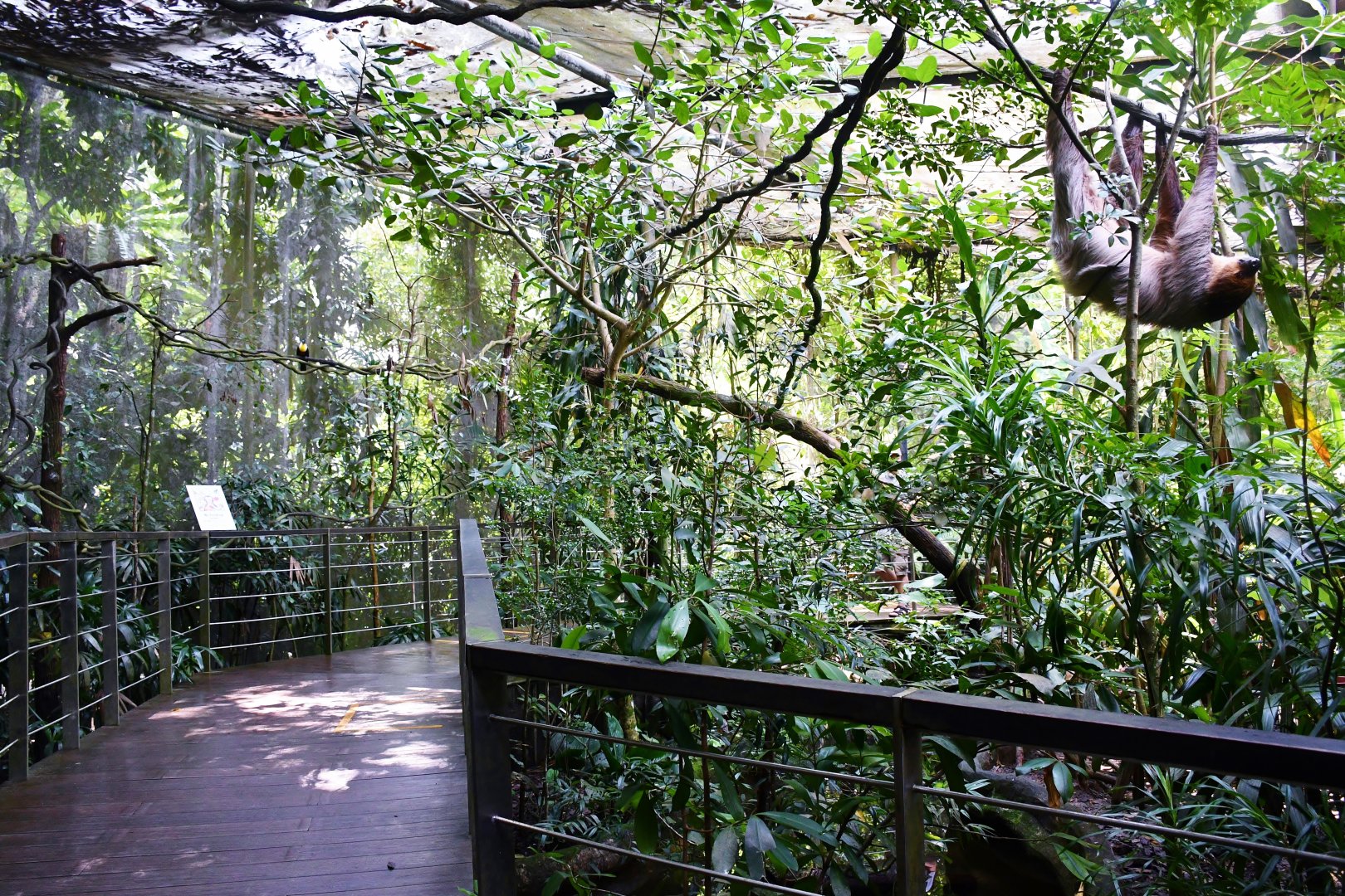 Neotropical Walk-Through Exhibit at Reptopia