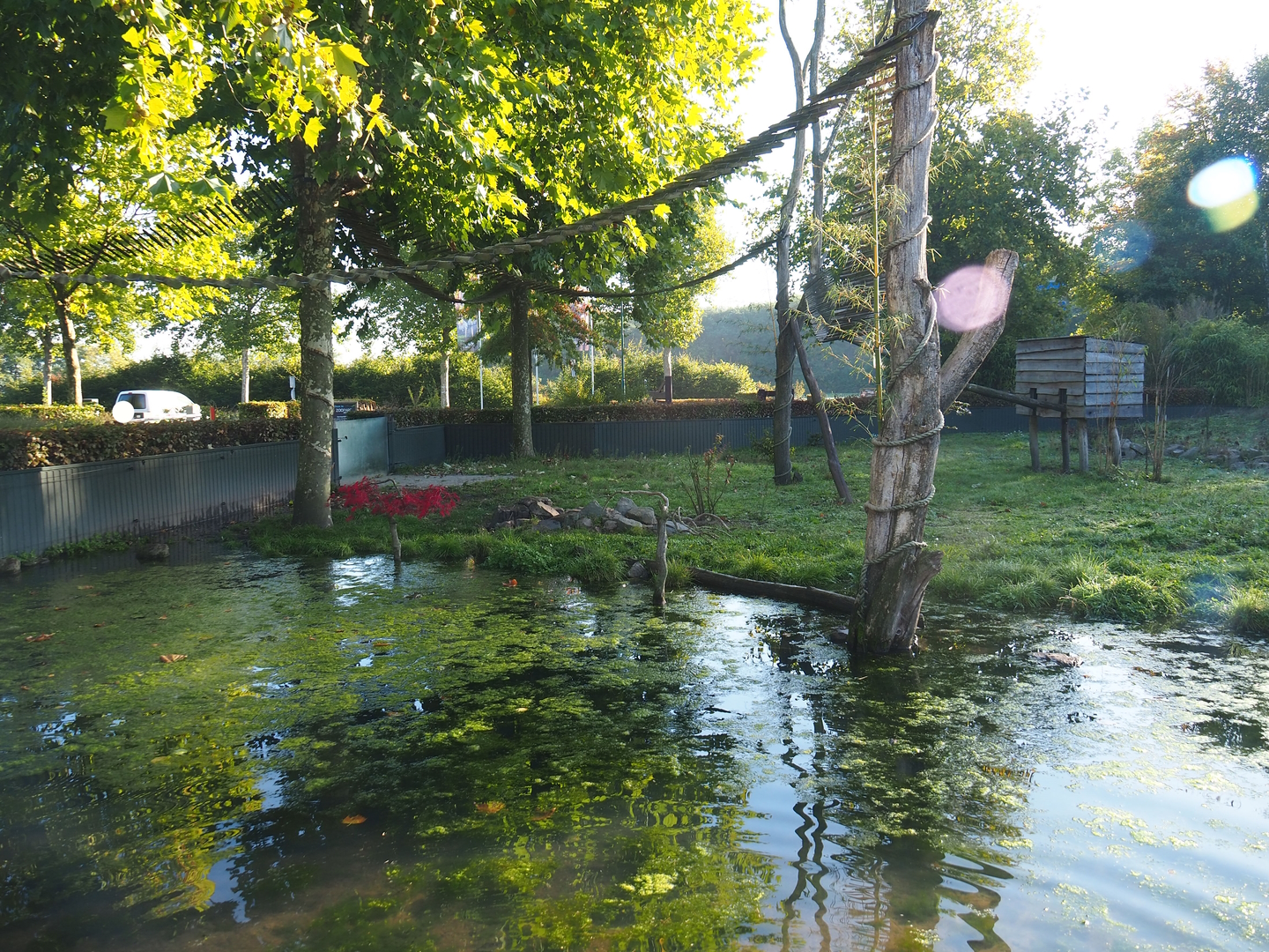 Nepalese red panda and Asian small-clawed otter exhibit, 2022-10-09