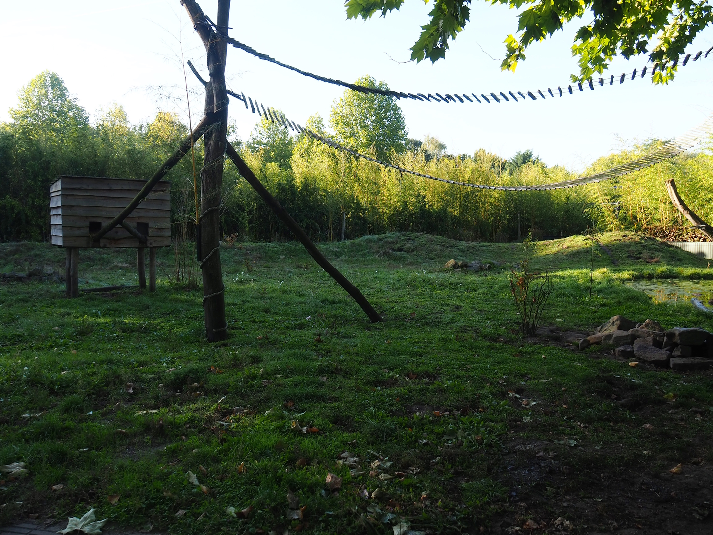 Nepalese red panda and Asian small-clawed otter exhibit, 2022-10-09
