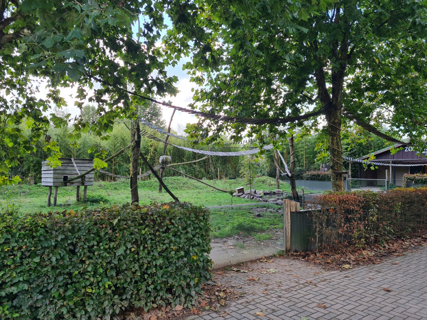 Nepalese red panda and Asian small-clawed otter habitat