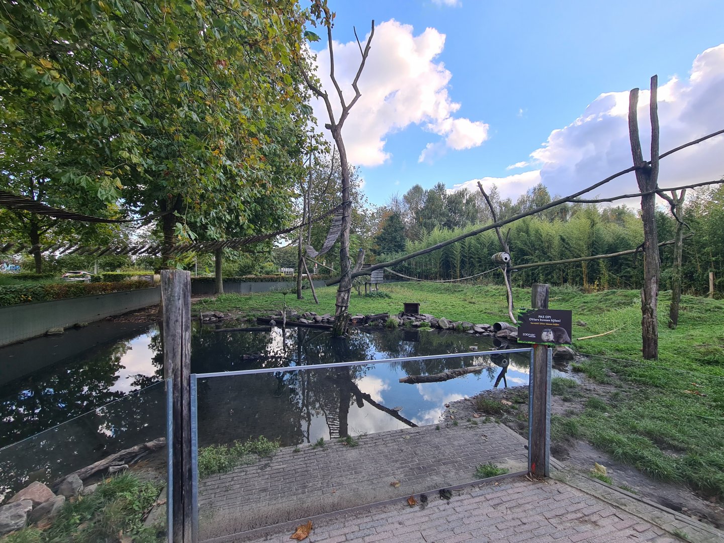 Nepalese red panda and Asian small-clawed otter habitat