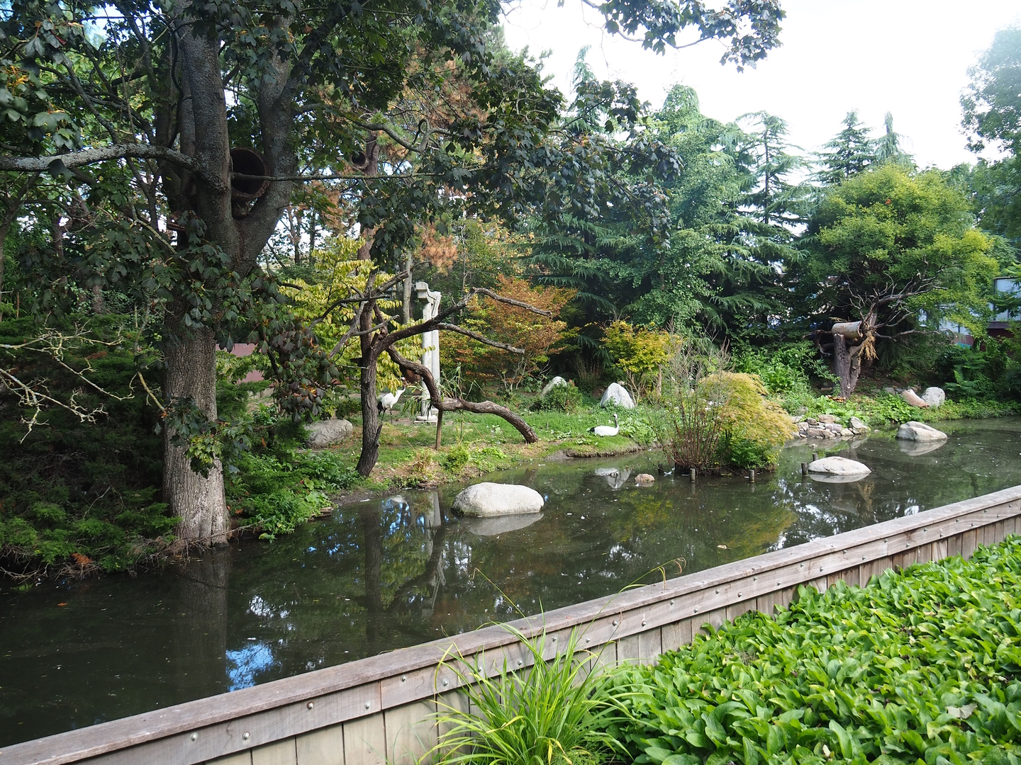 Nepalese red panda and Red-crowned crane exhibit, 2022-08-28
