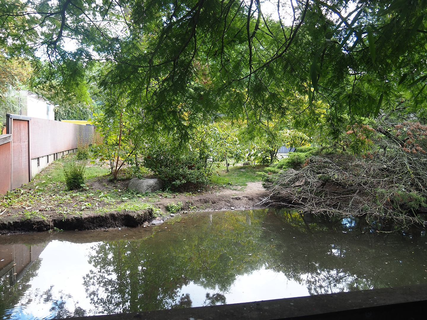 Nepalese red panda and Red-crowned crane exhibit, 2022-08-28