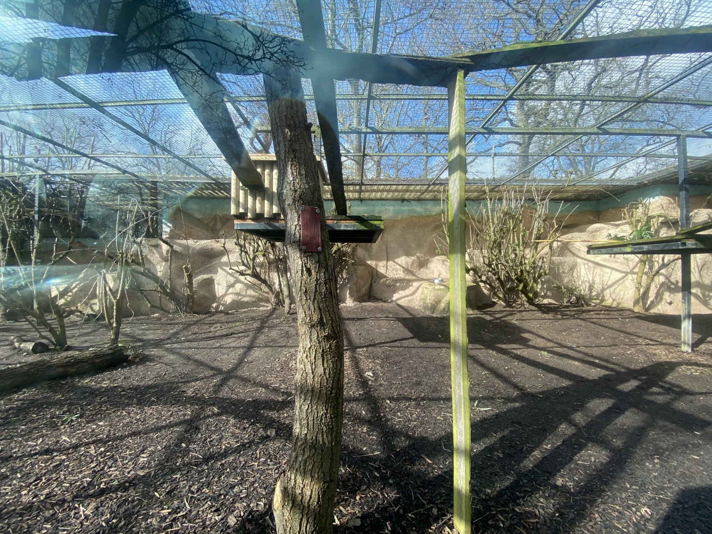 Nepalese red panda enclosure 040324