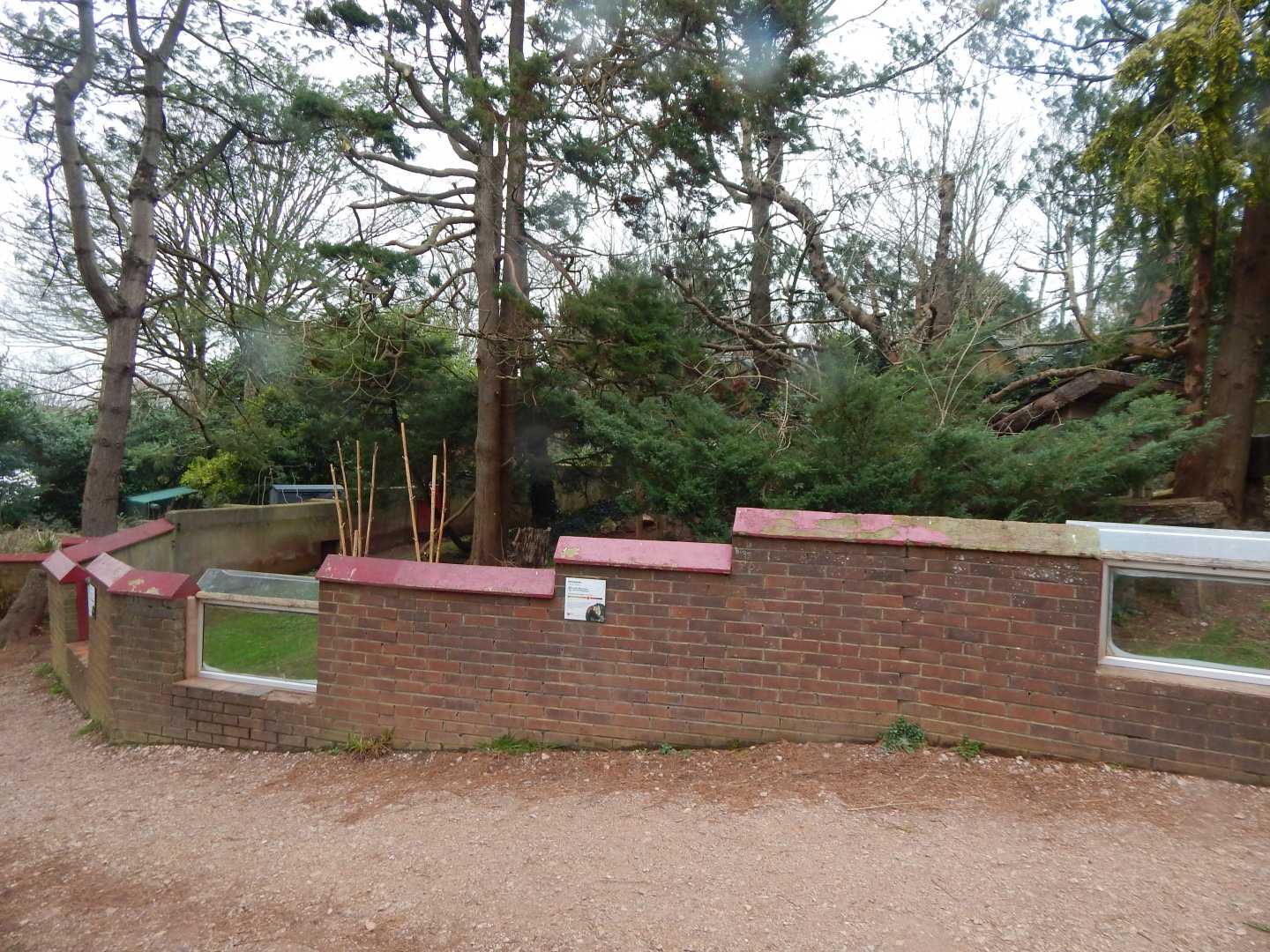Nepalese red panda enclosure 050224