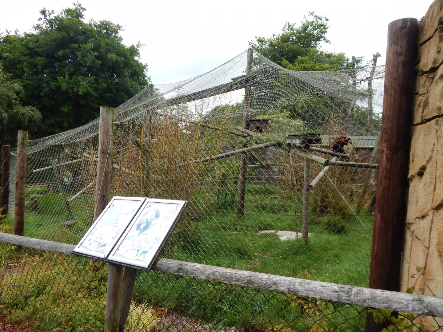 Nepalese red panda enclosure 050625