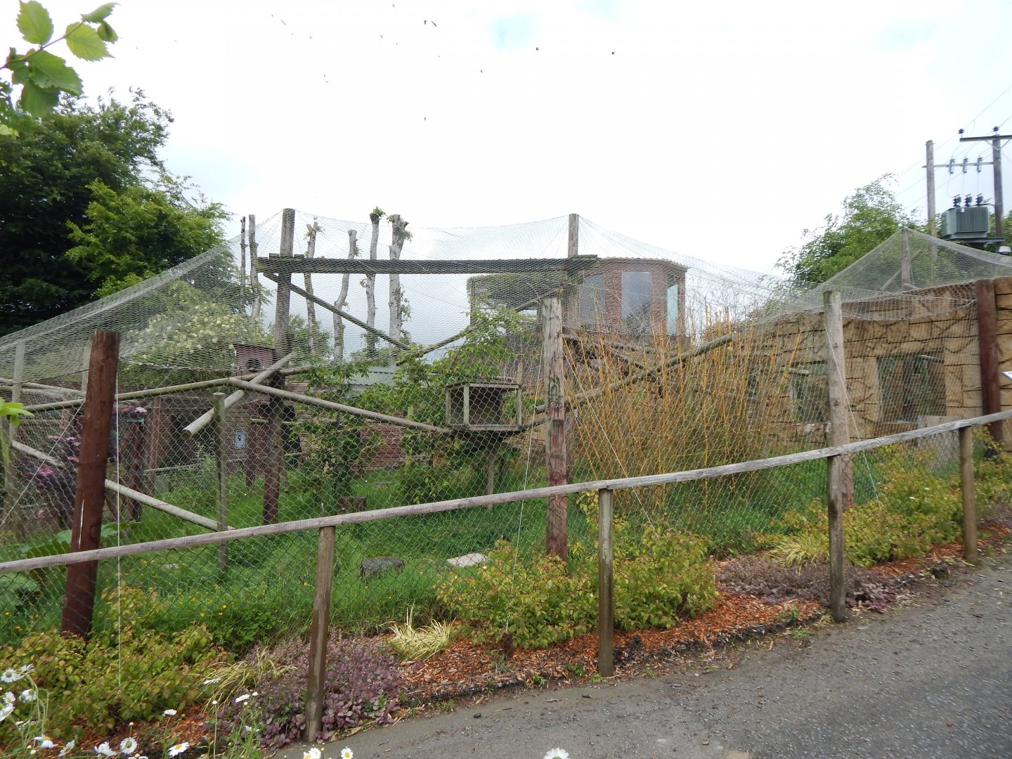Nepalese red panda enclosure 050625