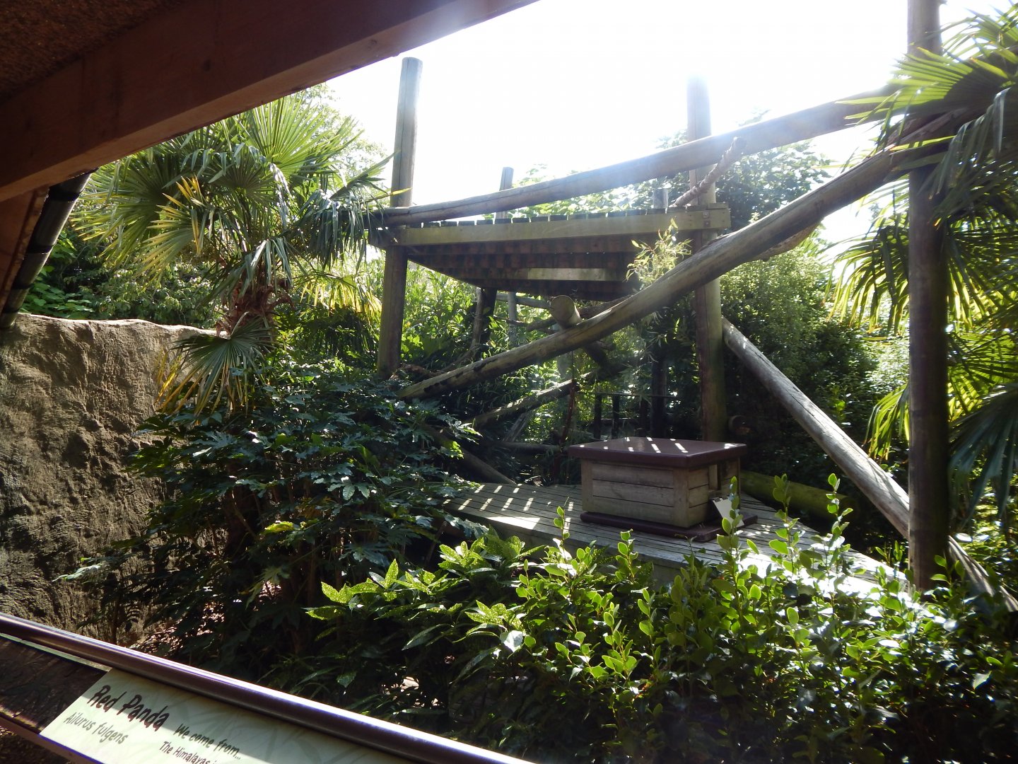 Nepalese red panda enclosure 110925