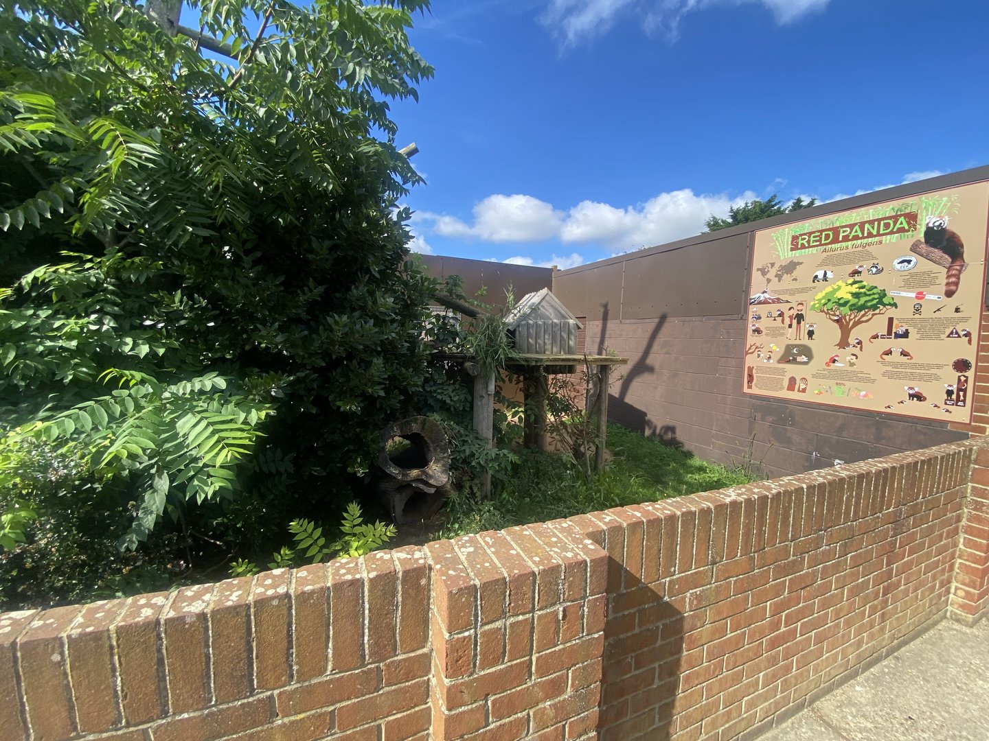 Nepalese red panda enclosure 140923