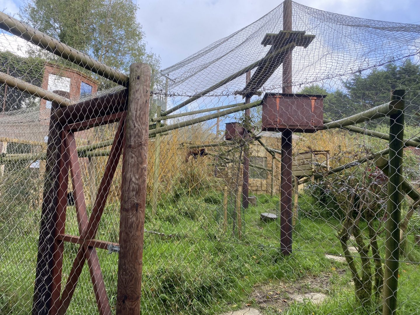 Nepalese red panda enclosure 141023