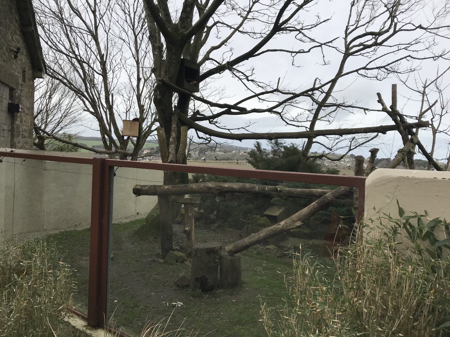 Nepalese red panda enclosure 190219