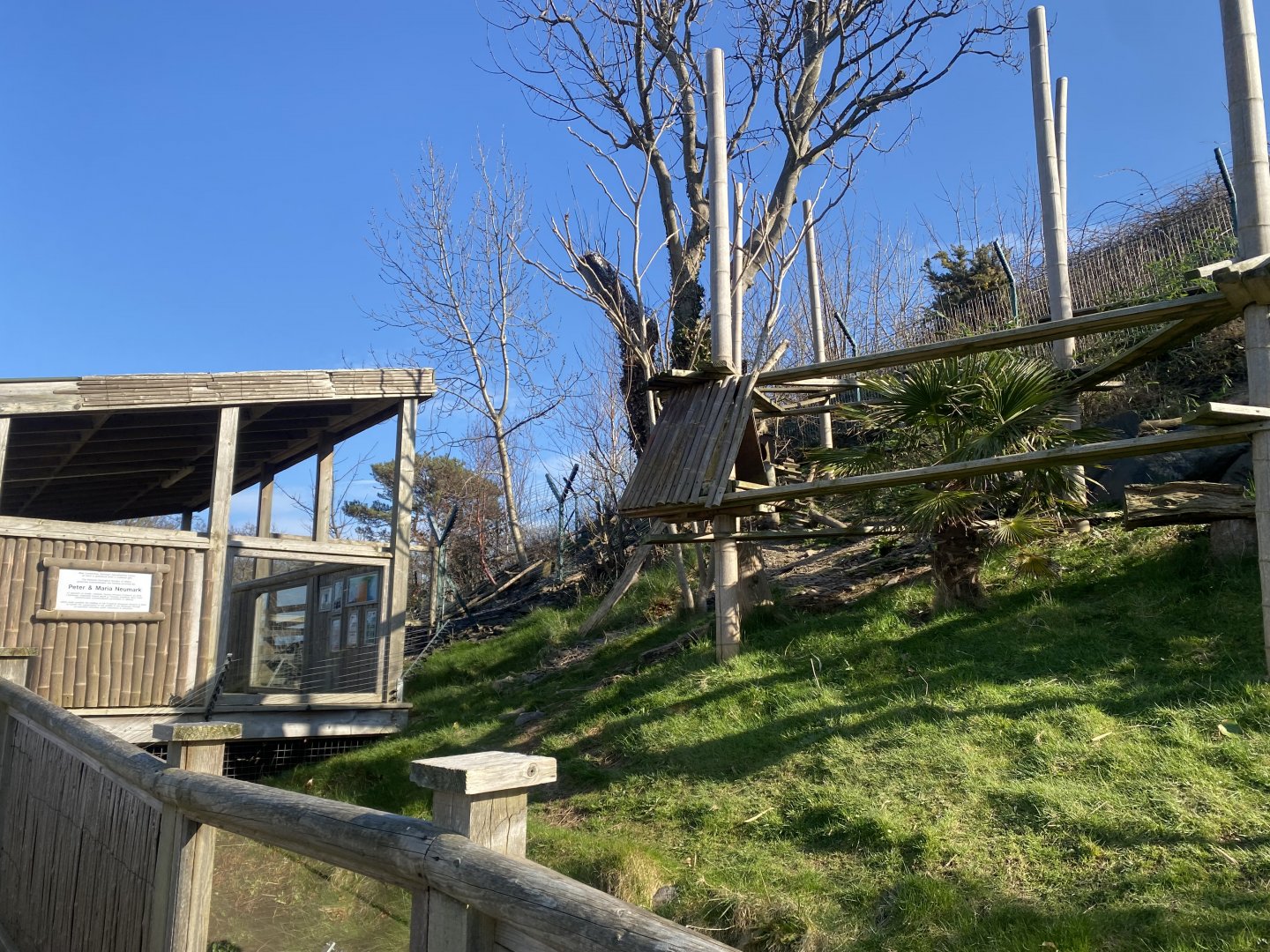 Nepalese red panda enclosure 190325