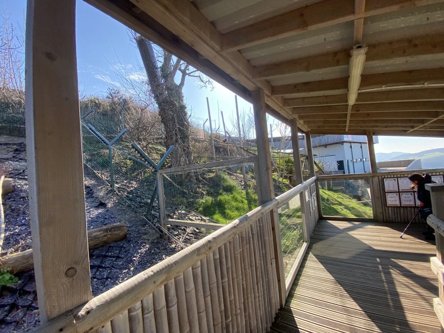 Nepalese red panda enclosure 190325