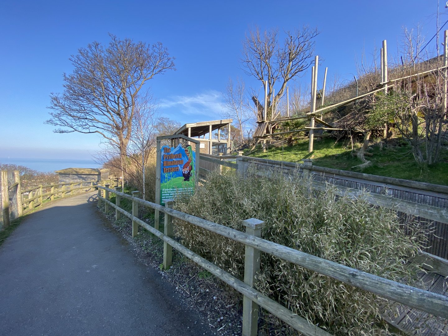 Nepalese red panda enclosure 190325
